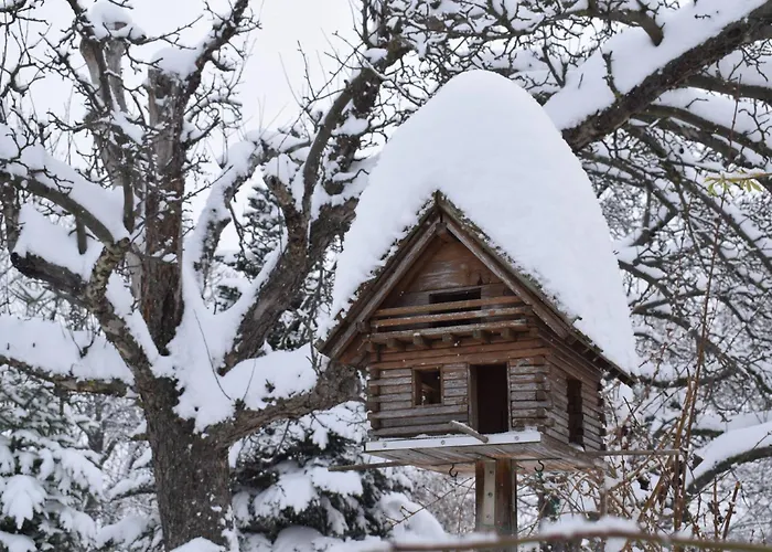 Gartenfreude Appartamento